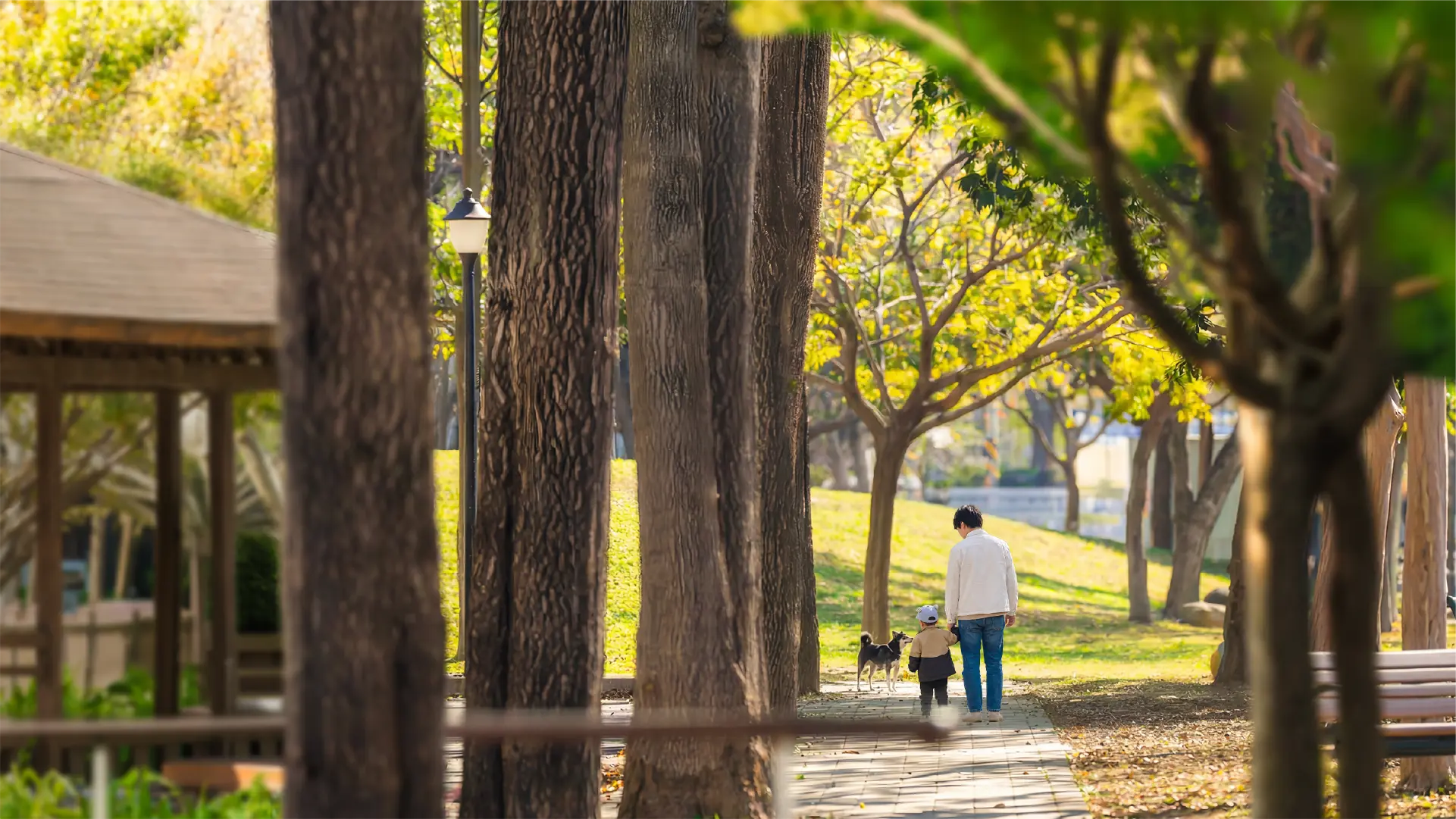 家人在綠意公園散步