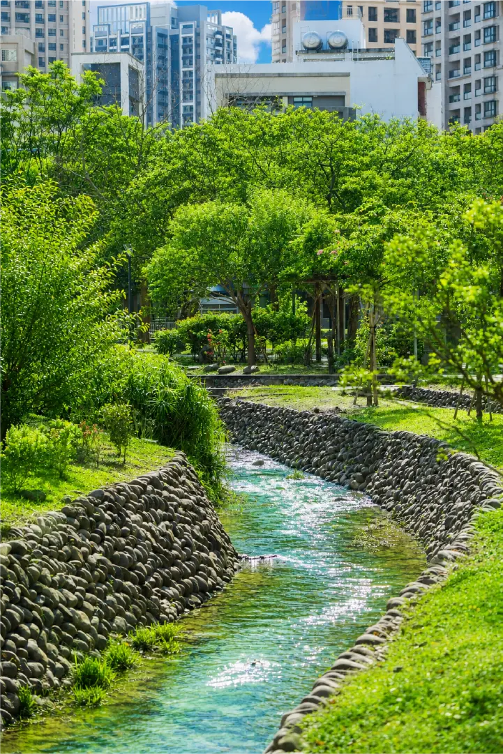 水圳森林公園綠意步道